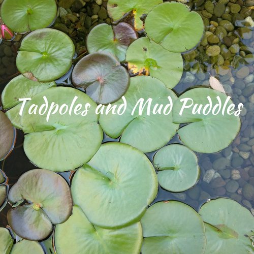 http://www.tadpolesandmudpuddles.com