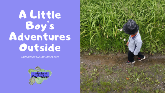 A Little Boy's Adventures Outside