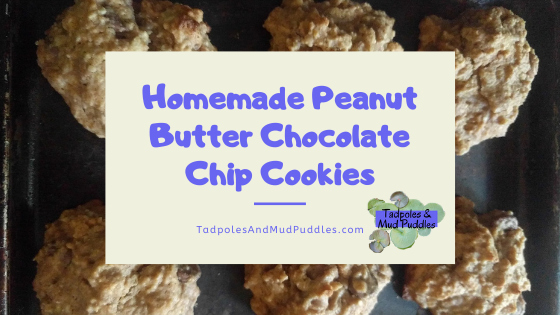 Homemade Peanut Butter Chocolate Chip Cookies