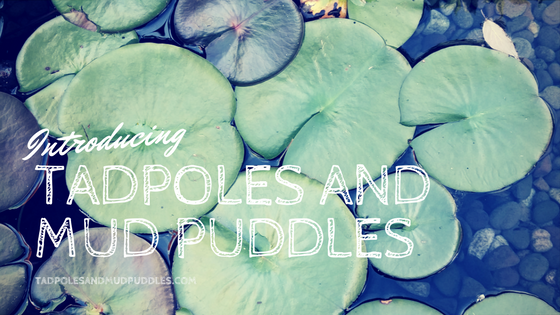 https://www.tadpolesandmudpuddles.com
