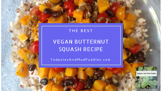 butternut squash, vegan dish, recipe, tadpoles and mud puddles