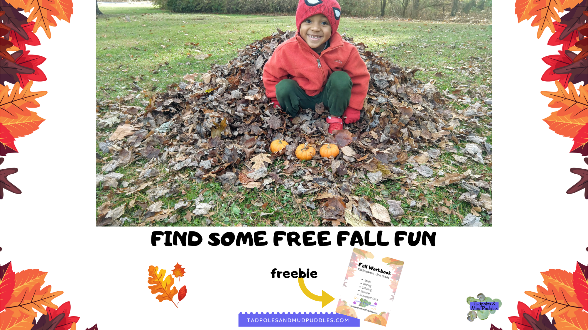 Find some free fall fun