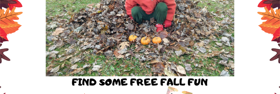 Find some free fall fun