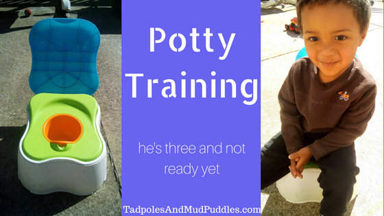 potty training, toddler, boy, not ready yet, tadpoles and mud puddles