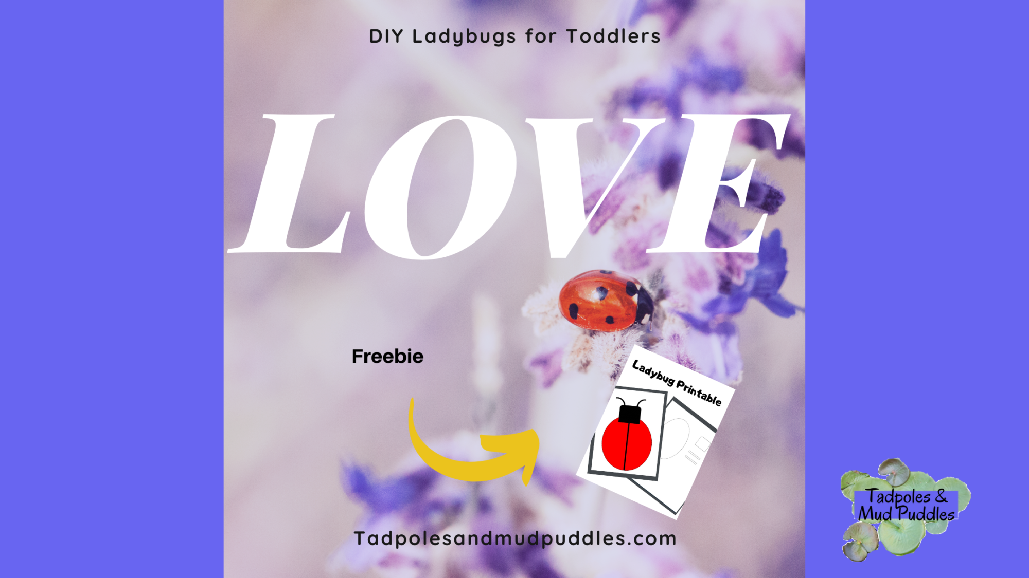 diy ladybug