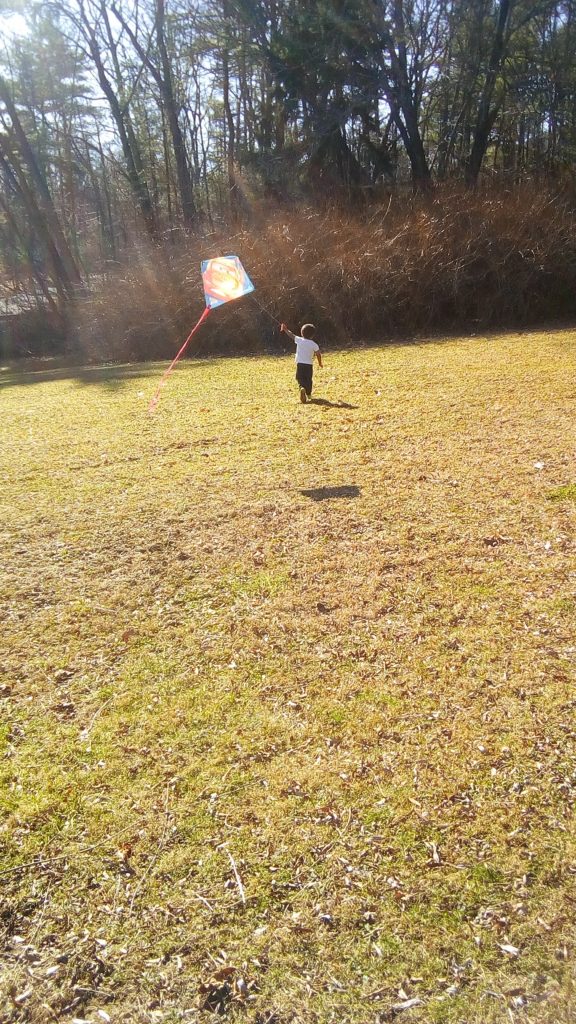 Kite flying