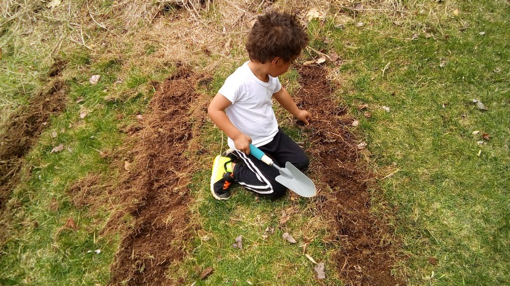 gardening work with my little helper