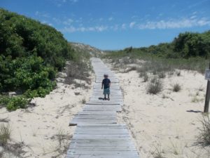 no plan, freebie, Virginia Beach, road trip, toddler beach trip, fun in the sun, back bay