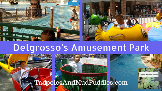 Delgrosso's, Delgrosso's Amusement Park, waterworks, rides, kids, teens, toddlers, fun in the sun, summer fun