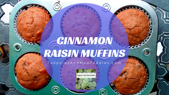 cinnamon raisin, muffins, bread, healthy, whole wheat, cinnamon raisin muffins, tadpoles and mud puddles