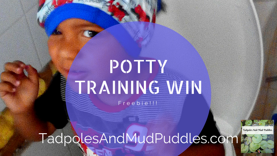 potty training win, potty training, potty win, toddler, tadpoles and mud puddles