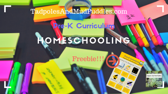 pre-k curriculum, pre-k, curriculum, homeschooling