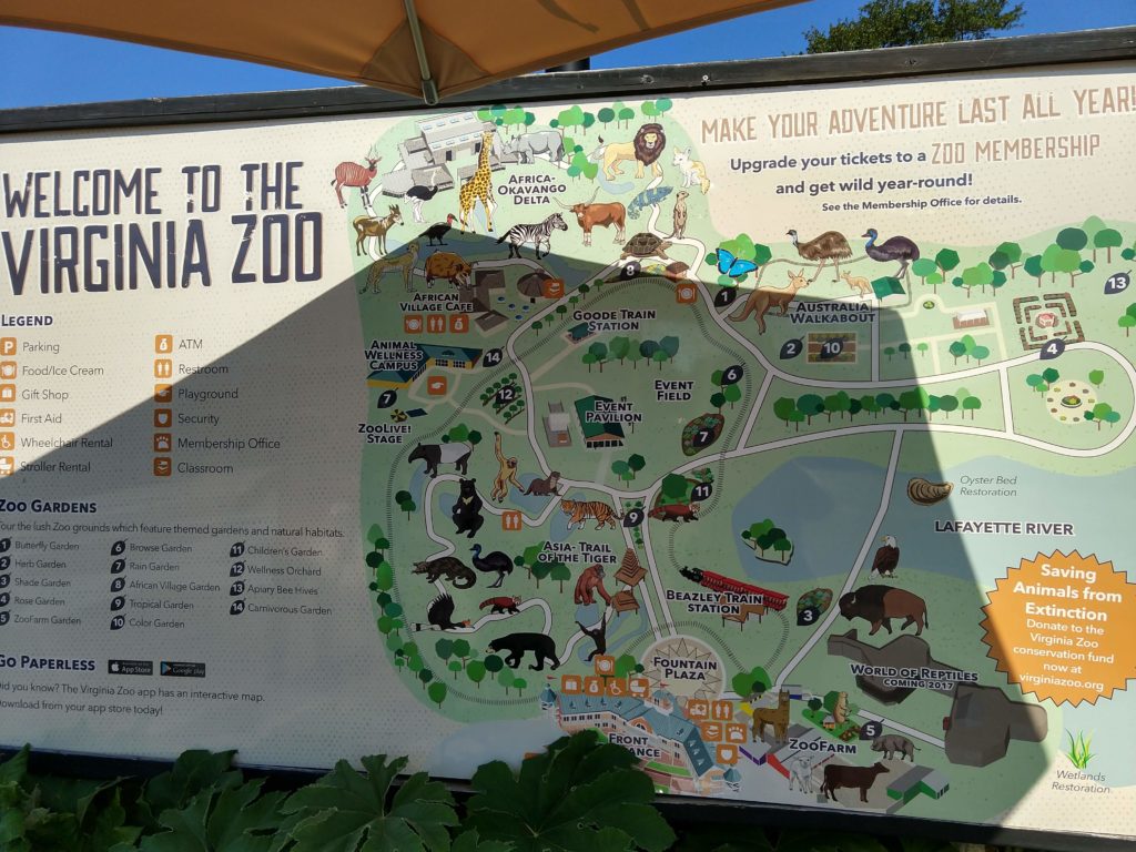 toddler activity, activate, zoo trip, Norfolk zoo, Virginia Zoo, Virginia Beach, birthday trip, animals 