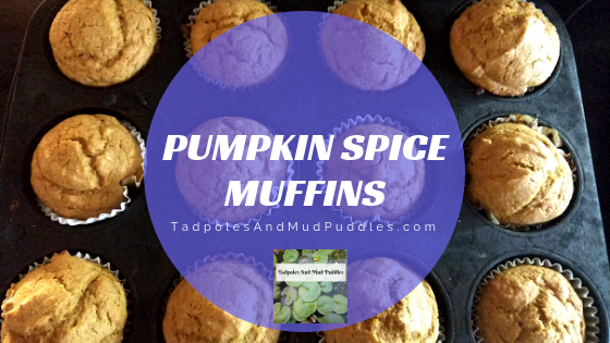 pumpkin spice muffins, healthy, whole grain, pumpkin season, toddler approved