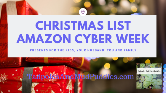 cyber week, gift guide, amazon, great deals, fun for the family, kids, spouse, you