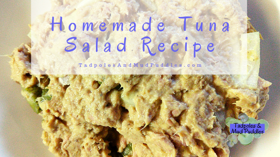 homemade tuna salad recipe