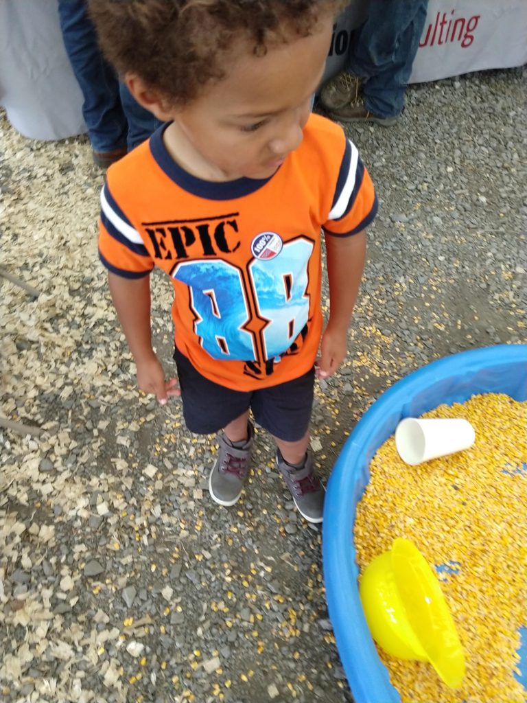 corn sensory bin at ag progress days
