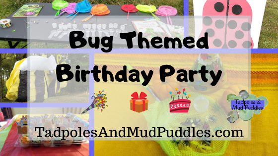 bug-themed birthday party