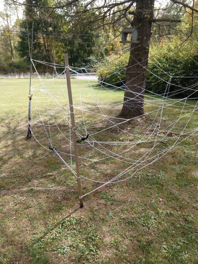 activity for our bug-themed birthday party Spider web activity