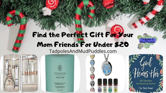 Find the Perfect Gift For Your Mom Friends For Under $20