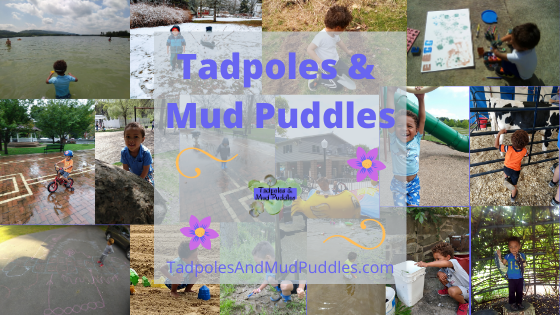 Tadpoles And Mud Puddles