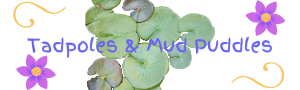 Tadpoles and Mud Puddles active kid blog