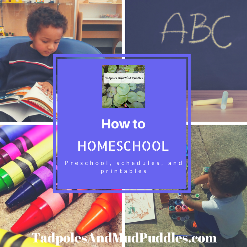 how to homeschool 