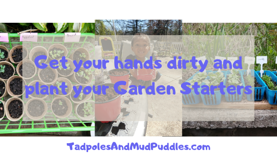 DIY Garden Starters