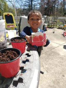 garden starters for strawberries from the dollar store