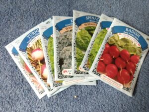 garden starters $0.20 seeds from the dollar store