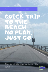 Road trip, no plan just go