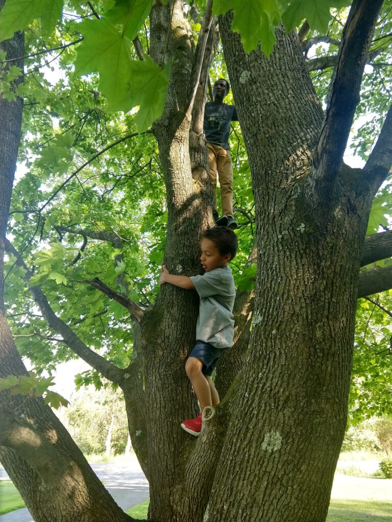 father and son time in a tree