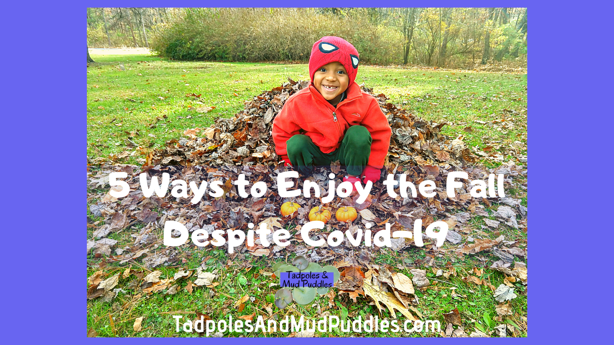 5 ways to enjoy the fall despite covid-19