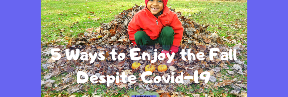 5 ways to enjoy the fall despite covid-19