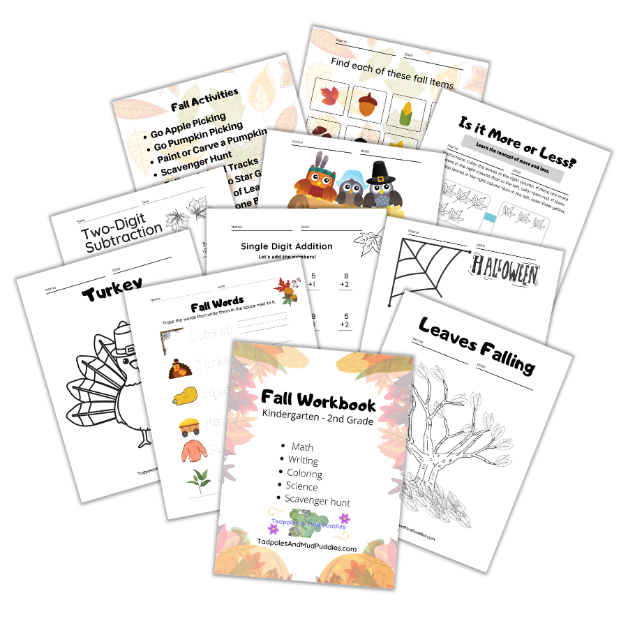 Enjoy Fall Workbook