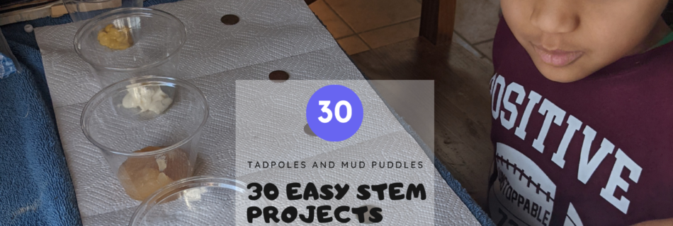 Easy stem projects
