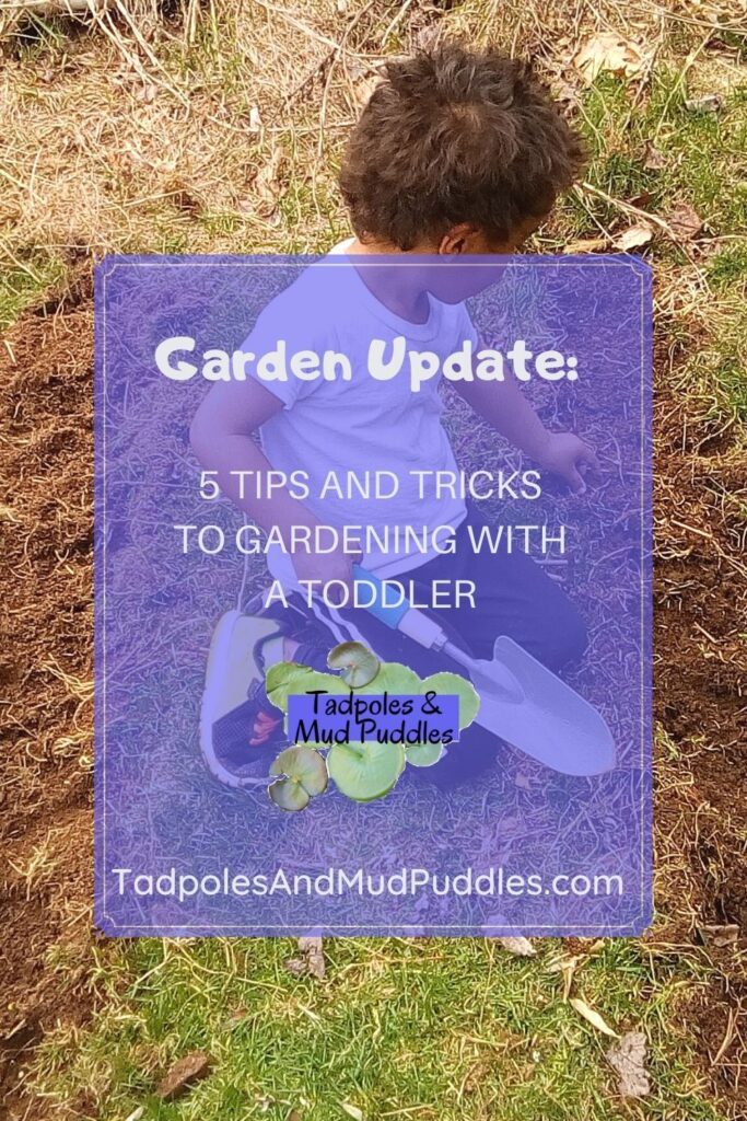 5 Tips for Gardening with a Toddler - Tadpoles and Mud Puddles