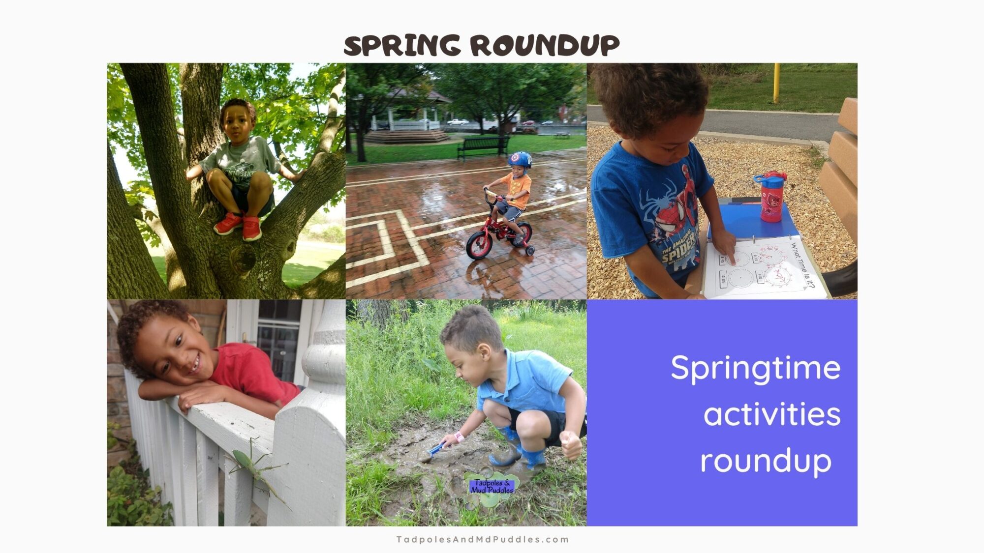 spring roundup