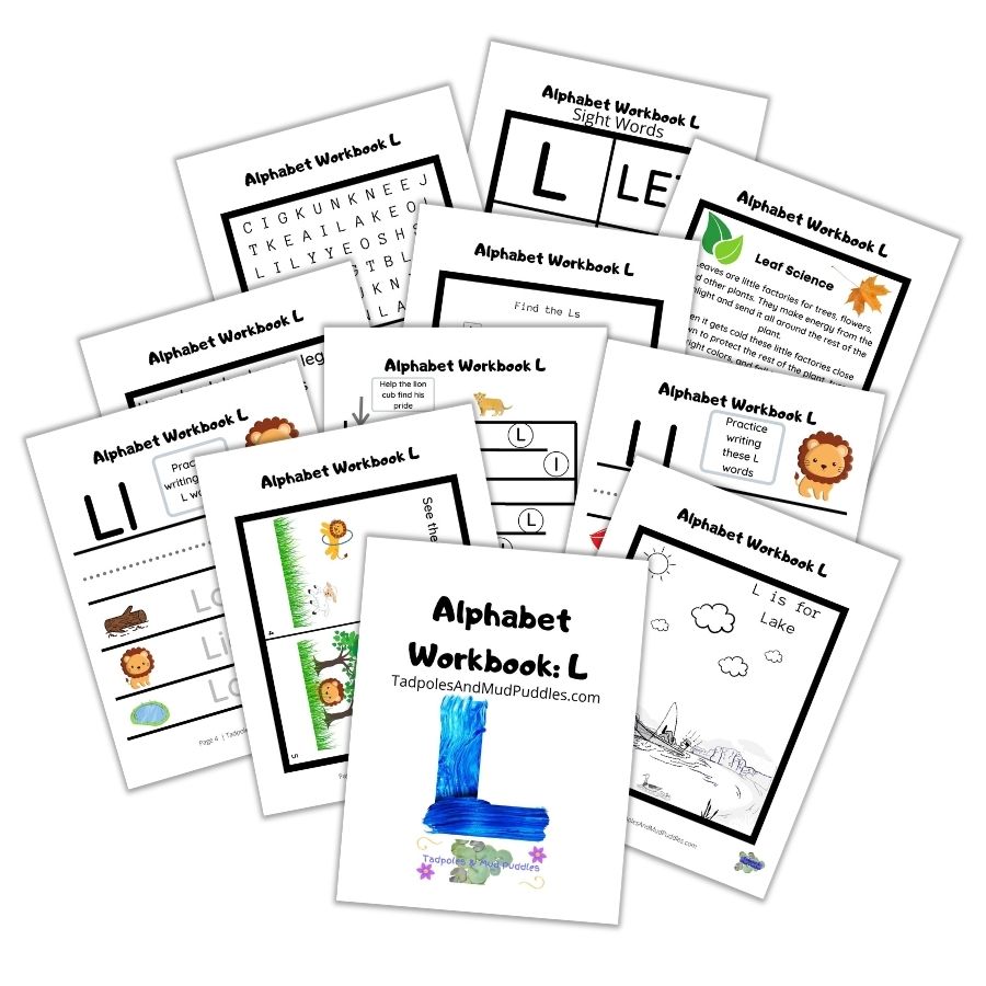 Alphabet Workbook L