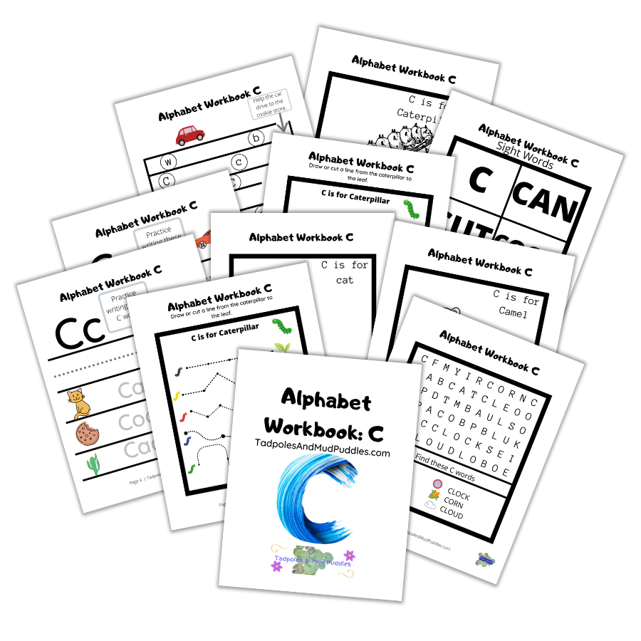 Alphabet Workbook C