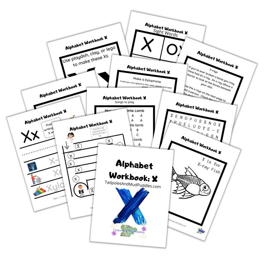 alphabet workbook x