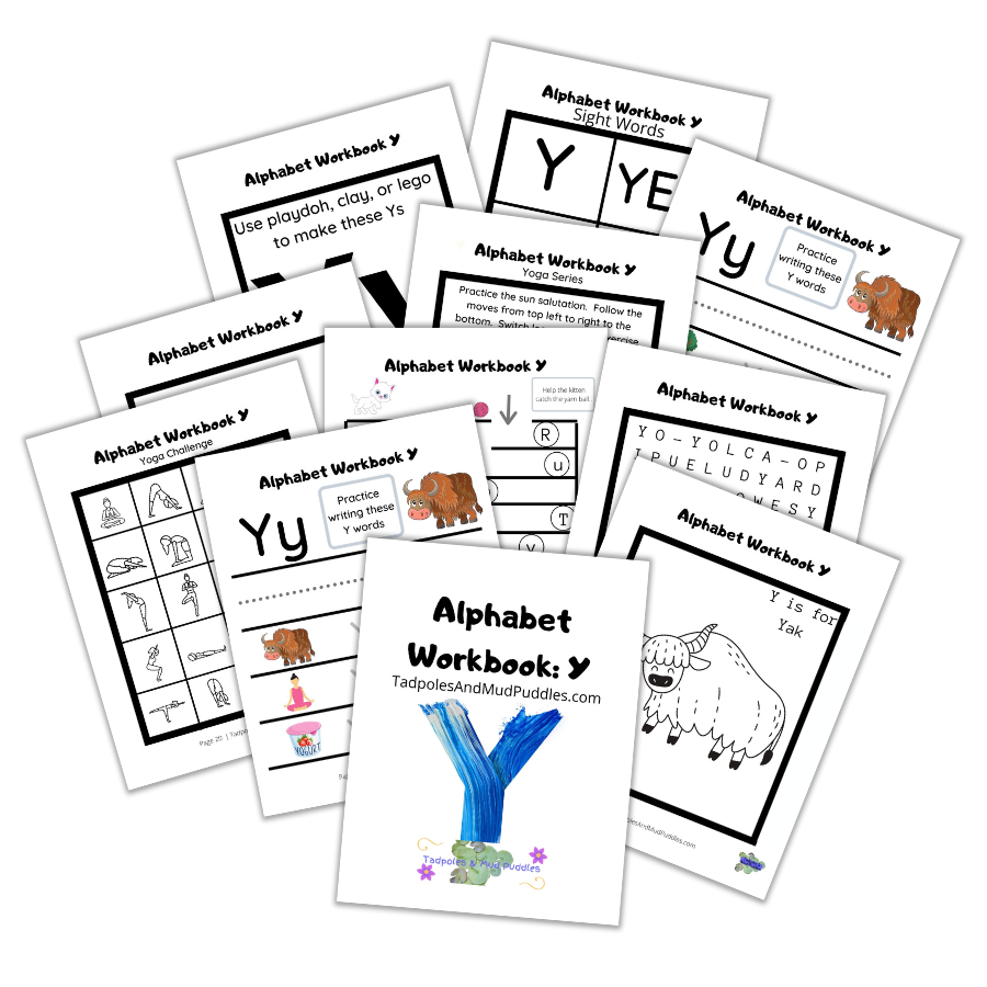 alphabet workbook y