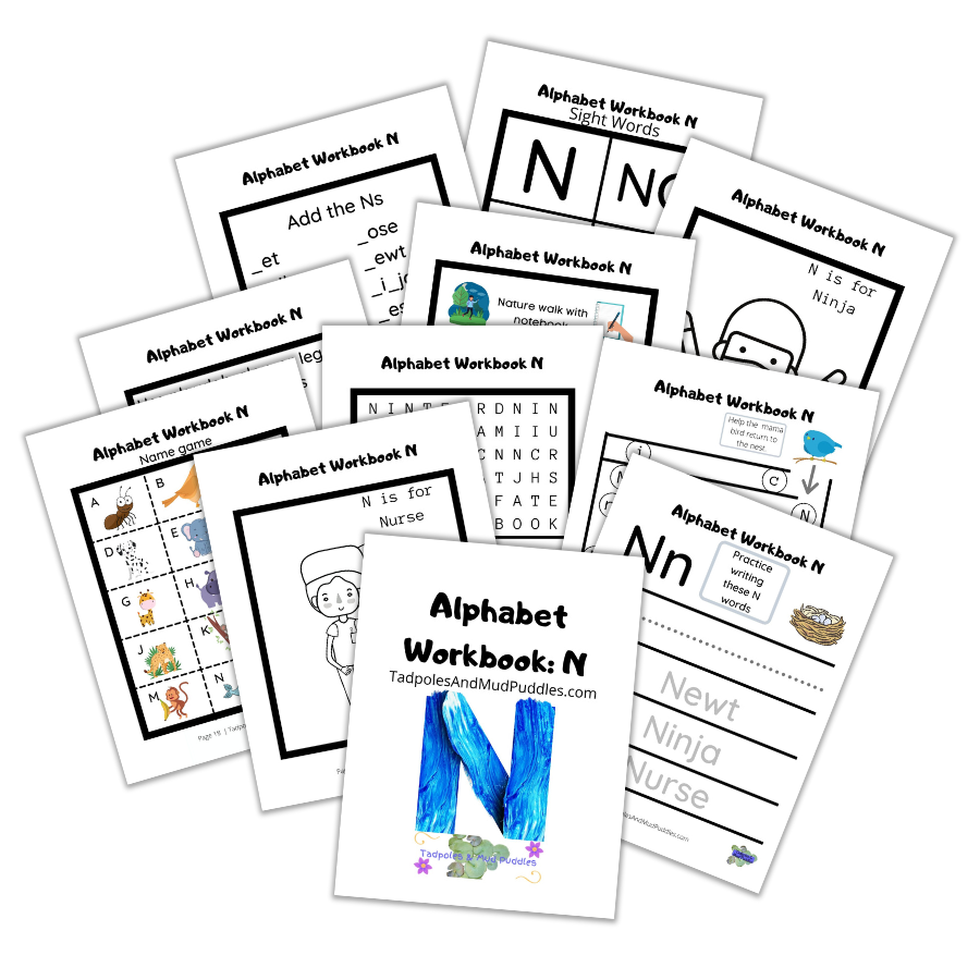 alphabet workbook n