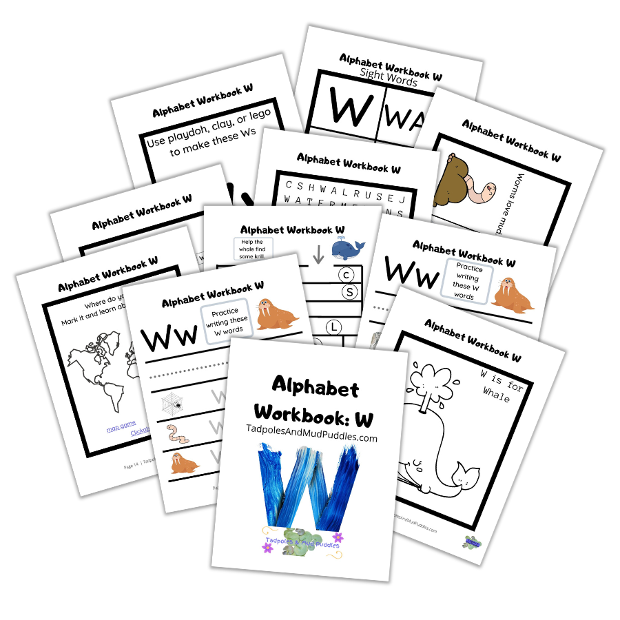 alphabet workbook w