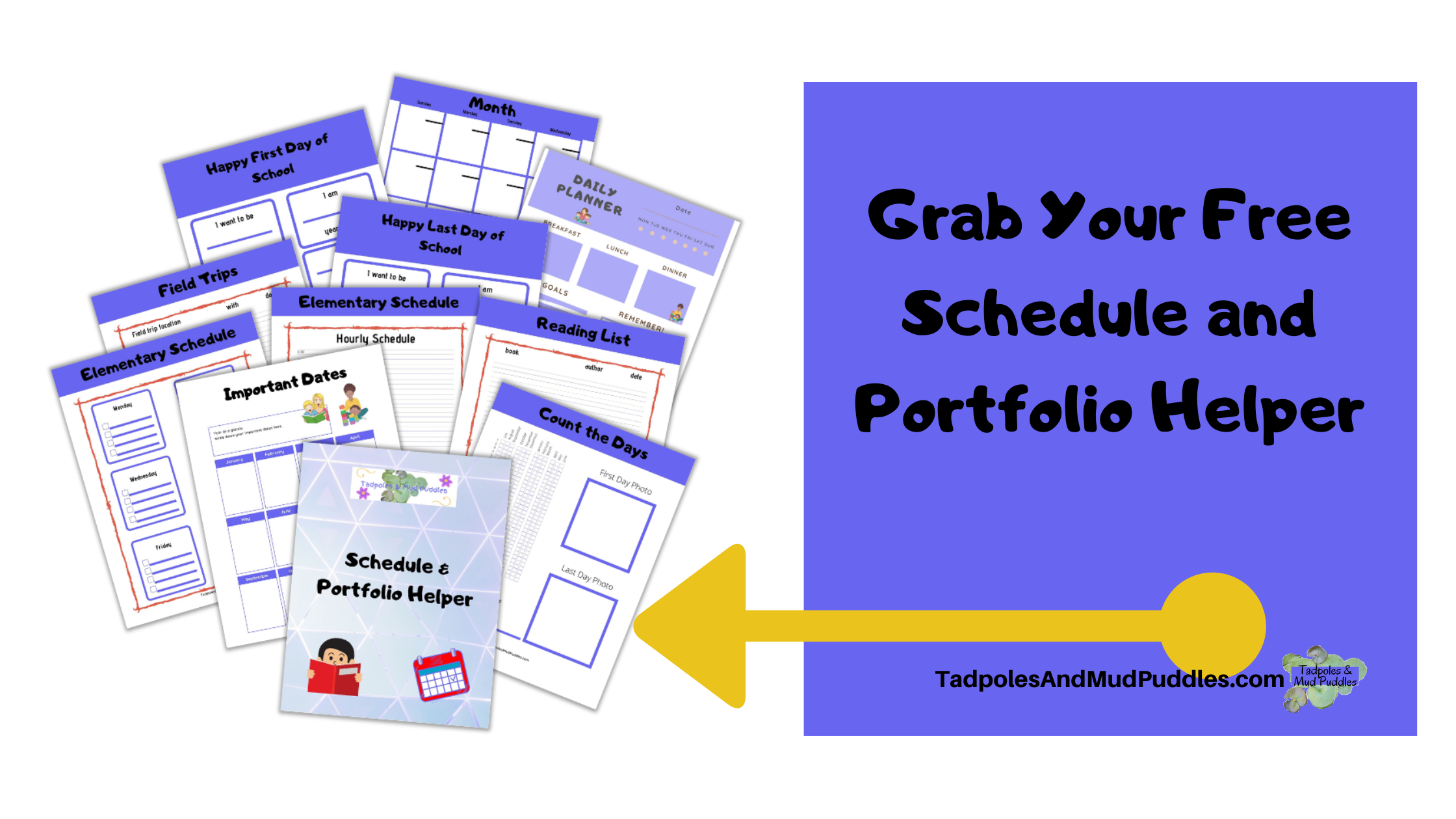 schedule and portfolio downloader