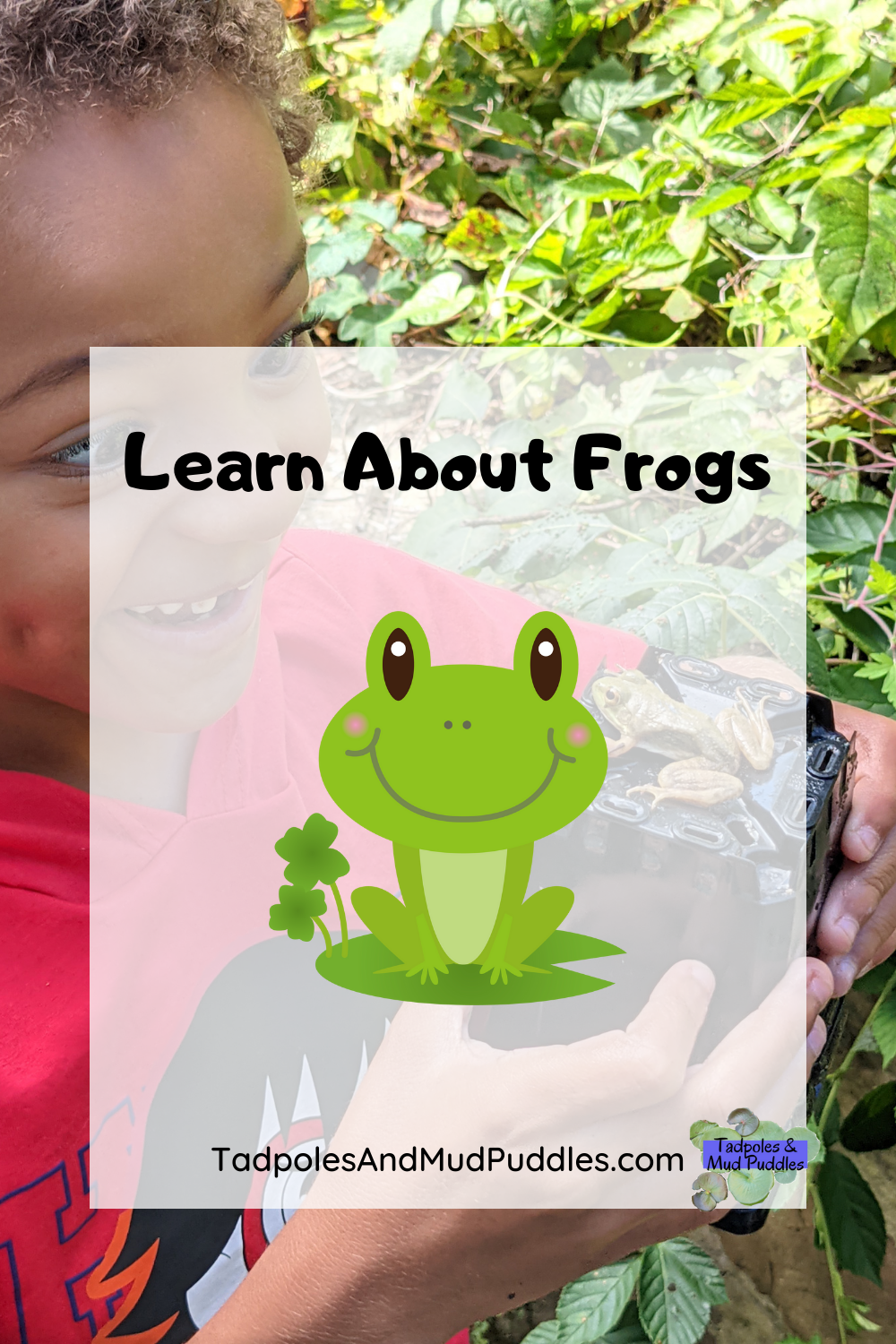 frog workbook and learning