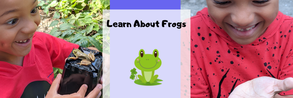 learn about frogs