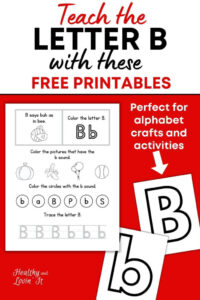 free letter B workbook