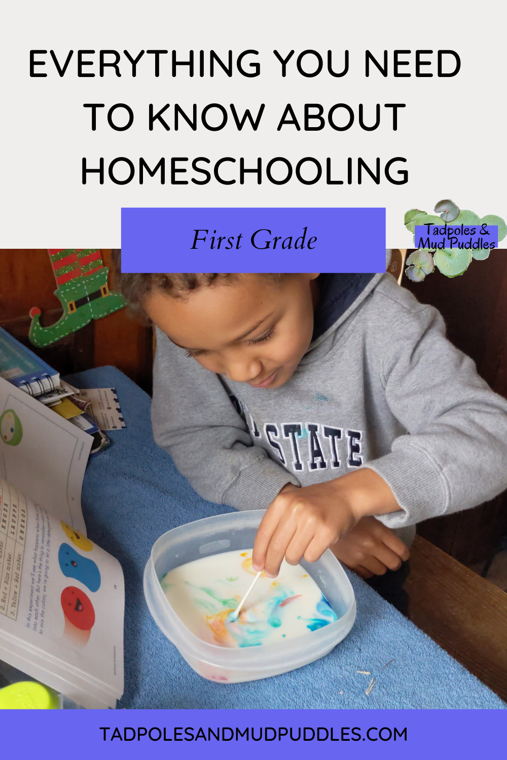 everything you need to know about homeschooling first grade 2