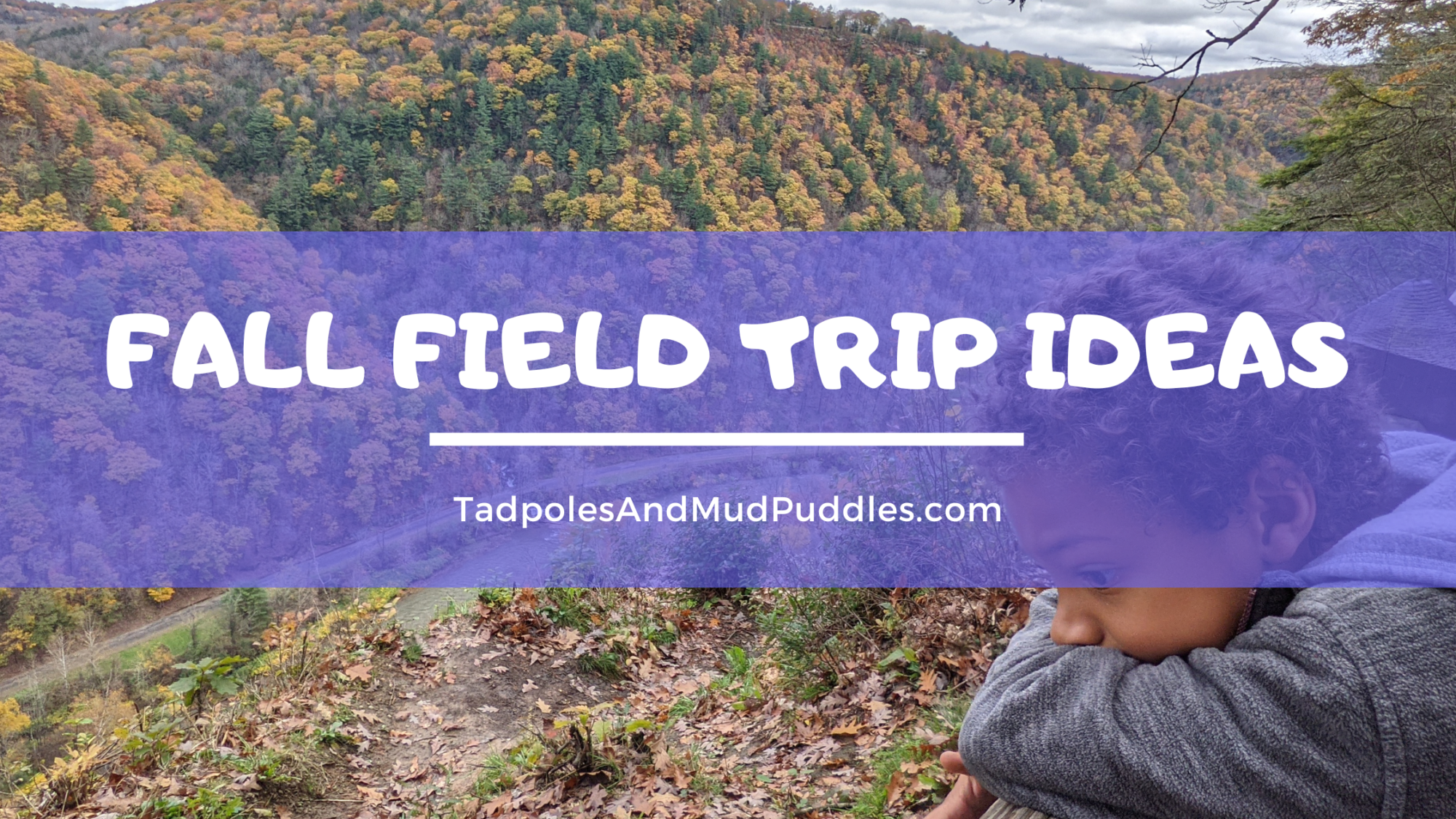 fall field trip ideas